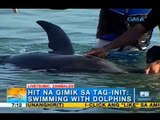 Enjoy swimming with dolphins! | Unang Hirit