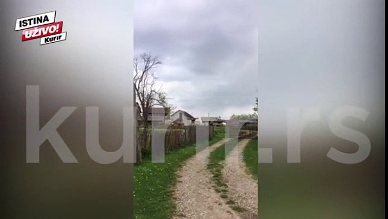 Rrëzimi i aeroplanit serb