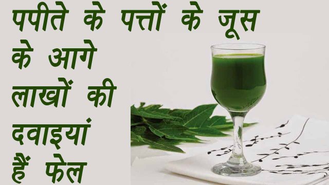 Papaya leaves juice | Health benefits | पपीते के पत्तों का जूस के आगे लाखों की दवाइयां फेल |Boldsky
