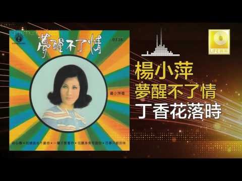 楊小萍 Yang Xiao Ping- 丁香花落時 Ding Xiang Hua Luo Shi (Original Music Audio)