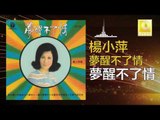 楊小萍 Yang Xiao Ping- 夢醒不了情 Meng Xing Bu Liao Qing (Original Music Audio)