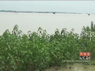 পাহাড়ি ঢলে নেত্রকোনার হাওরাঞ্চলে বাড়ছে ক্ষতির পরিমাণ