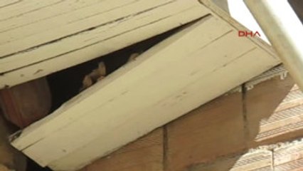 Manisa Yavru Kedileri Itfaiye Kurtardı