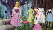 Princess Aurora Sleeping Beauty Princess Fashion Set Aurore La Belle au Bois Dormant Coffret