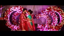 Punjab Vs Chennai ¦ An Epic Wedding tale From 2 States !!