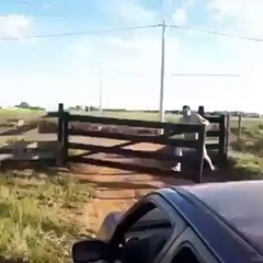 As Pessoas Mais Inteligentemente Burras da Terra