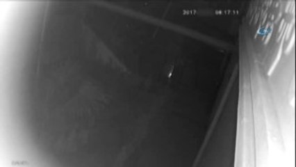 Bilgisayar Mühendisinin Katil Zanlısı Kamerada