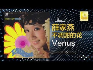 薛家燕 Nancy Sit - Venus (Original Music Audio)