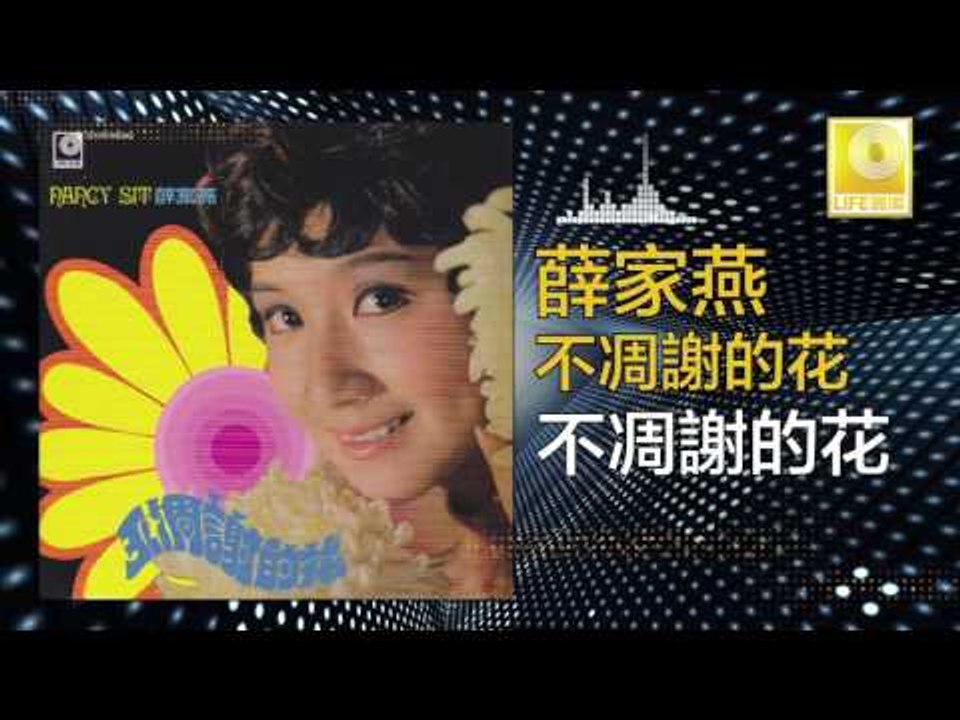 薛家燕 Nancy Sit - 不凋謝的花 Bu Diao Xie De Hua (Original Music Audio)