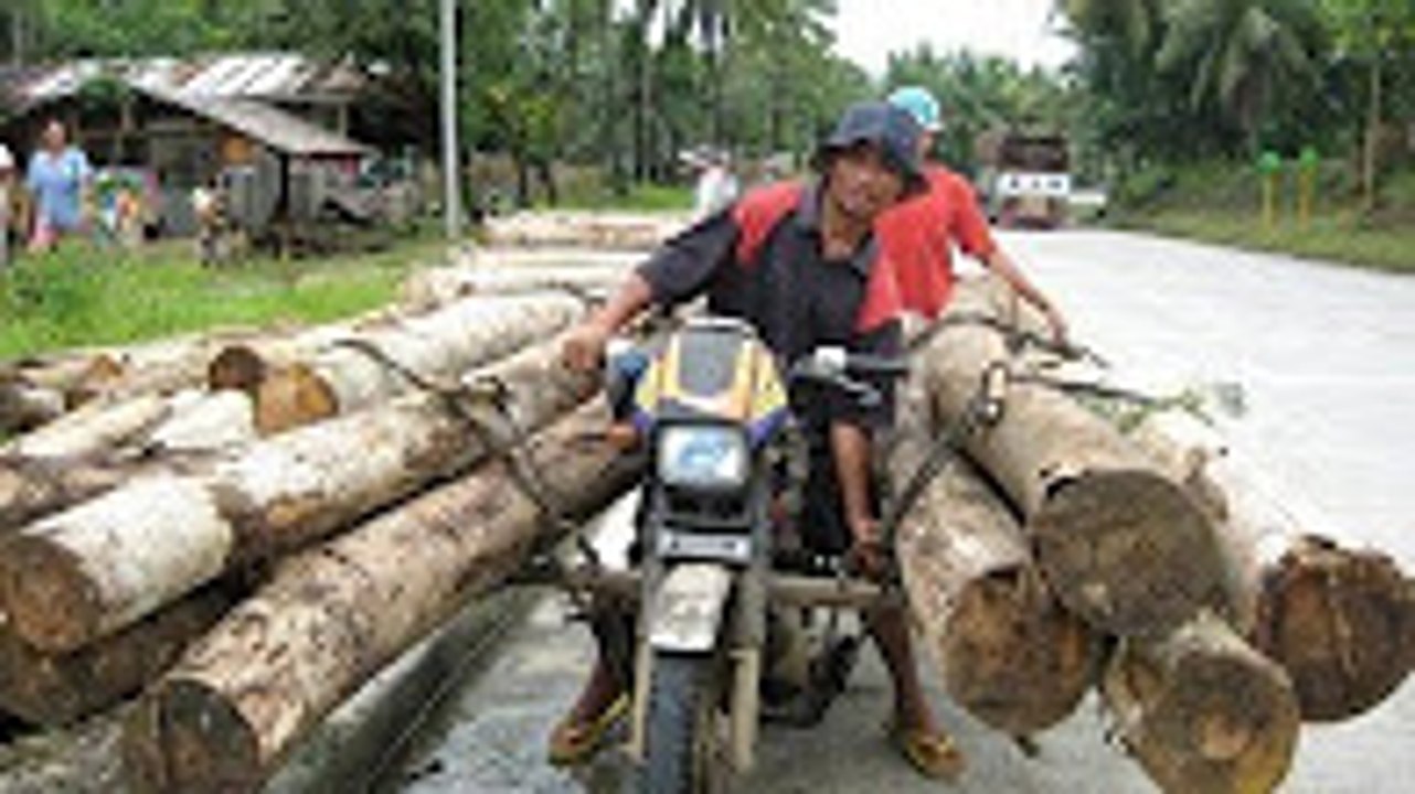 THE BEST FAST WORKERS IN THE WORLD