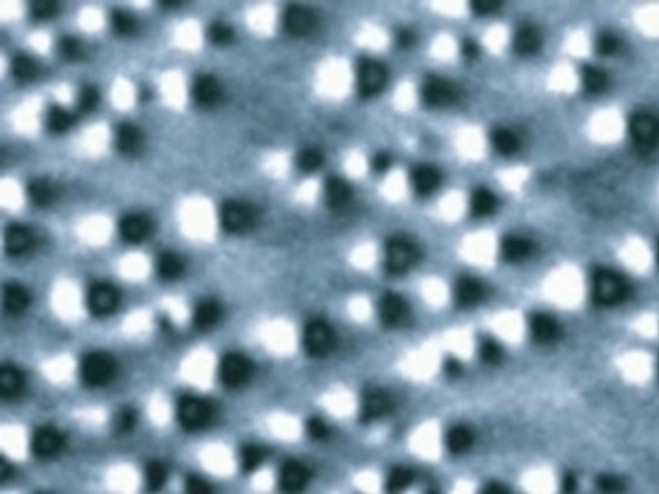 Gertonlab