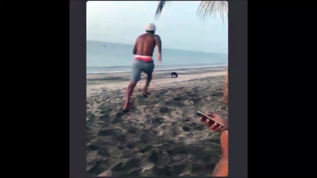 Il veut faire peur à un chien et va finir par se faire attaquer par la meute... Ahaha bien fait