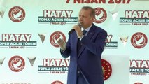 Erdoğan: 