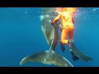 Pantelleria (TP) - Delfino salvato dalla Guardia Costiera (07.04.17)