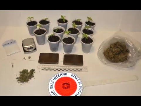 Crotone - Hashish e marijuana in casa, arrestato 45enne (07.04.17)