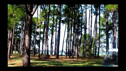 Meaher State Park - Spanish Fort, Alabama