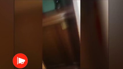 #os videos mais engraçados da internet#09