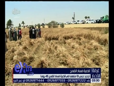 غرفة الأخبار | تجديد حبس 13 متهما 45 يوما في قضية فساد القمح