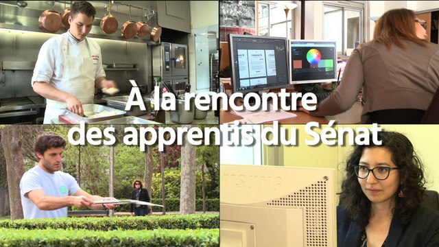 [Événement] À la rencontre des apprentis du Sénat