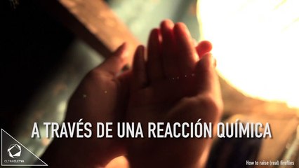 Santuario de Luciérnagas