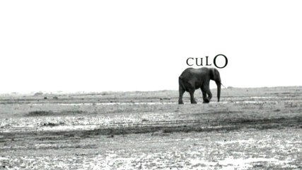 Timbaland - Pass At Me