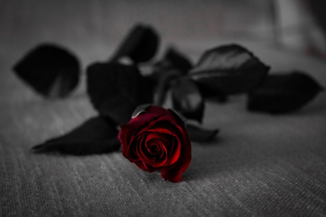 IN MEMORIAM