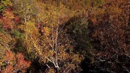 Watchable Rewards Drone Promo 6