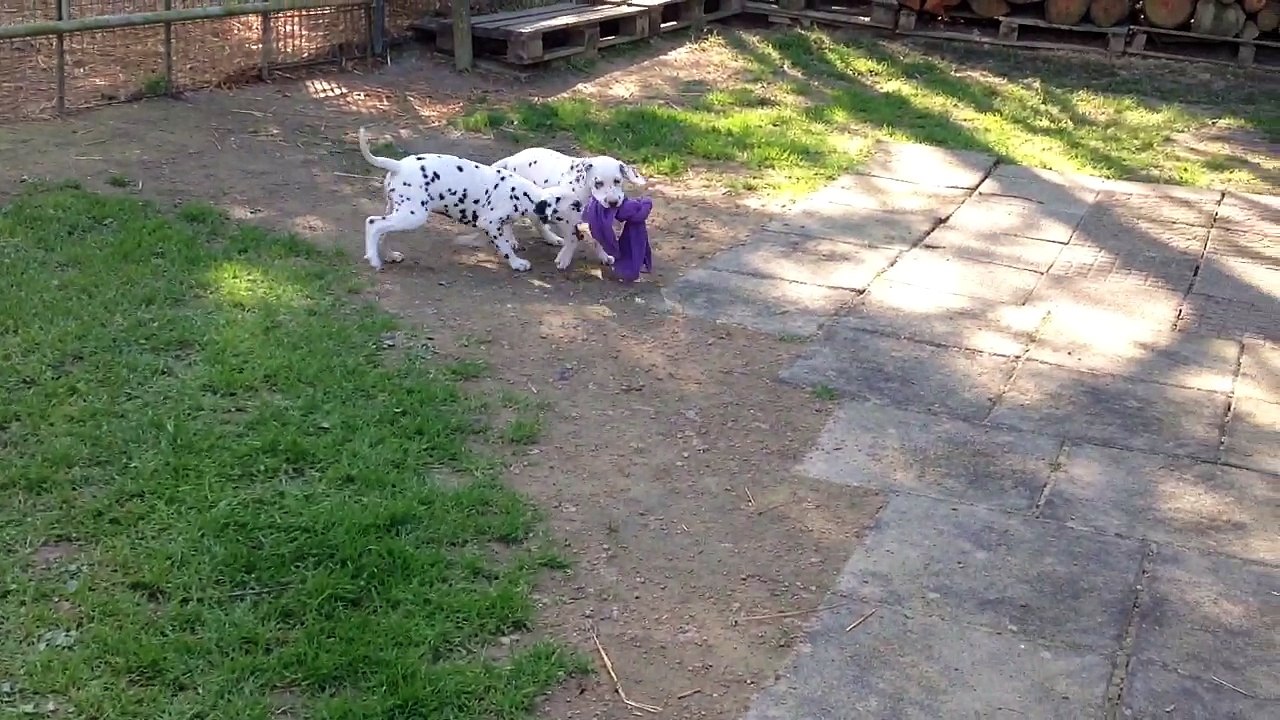 trim.155ED8C4-5BDF-41B5-A7E0-77FA75A16698