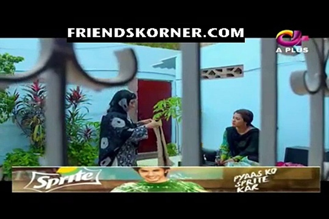 Nikki & Buddy Episode 12