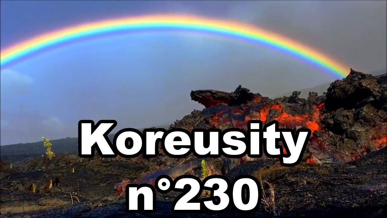 Koreusity n°230