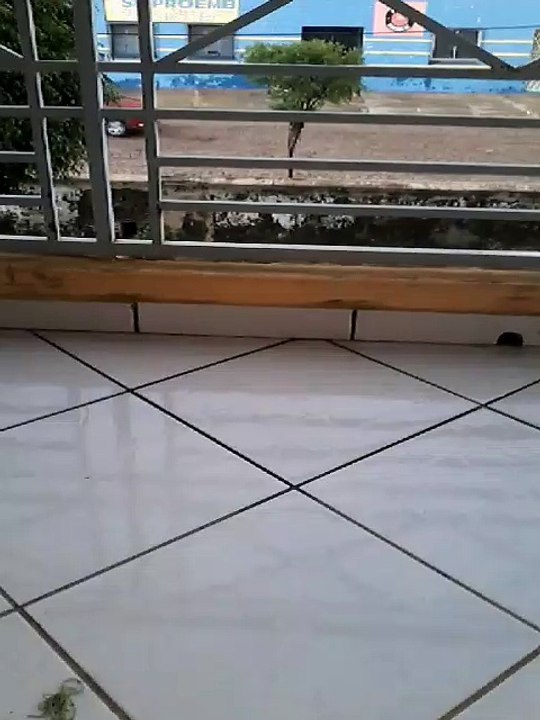 Lajotas