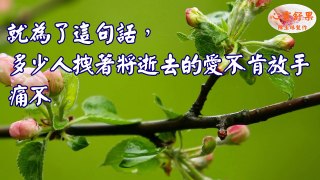 心靈舒果 --今生的妻子，兒女，紅顏，情人 前世到底和你是什麼關係？