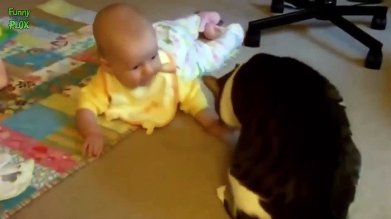 Cute Cats and Dogs Love Babies Compilation 2014