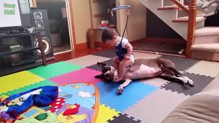 Dogs and Babies are Best Friends - 15 Minutes