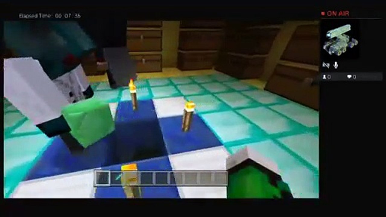 Minecraft Arkansas (17)