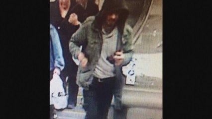 Sweden: suspect arrested after truck kills four and injures 15 in central Stockholm