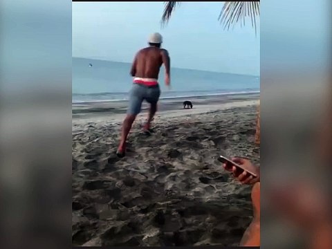 Un homme a tenté d'embêter un chien mais son karma l'a rattrapé !