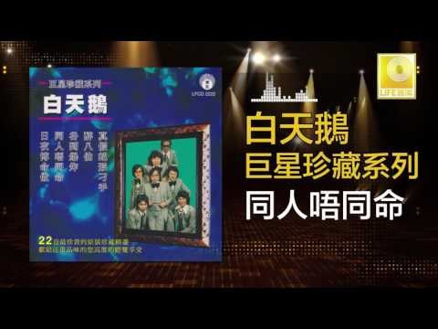 白天鵝 Bai Tian E - 同人唔同命 Tong Ren Wu Tong Ming (Original Music Audio)