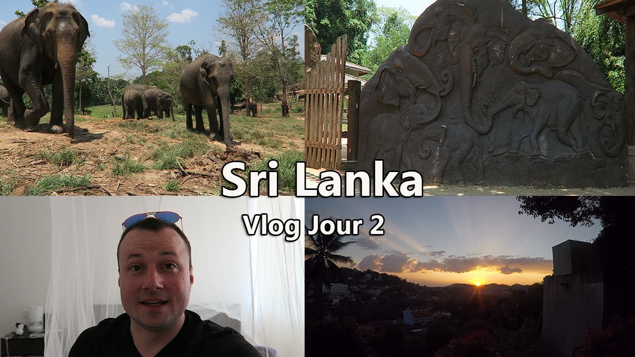 Vlog Body #5 - Sri Lanka Jour 2 Découverte Des Éléphants & Soirée Piscine 1080p60Fps Ultra