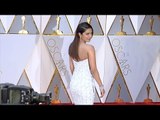 Priyanka Chopra 2017 Oscars Red Carpet
