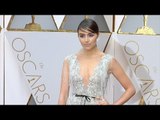 Olivia Culpo 2017 Oscars Red Carpet