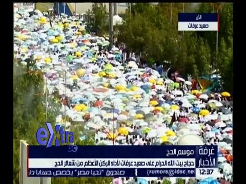 غرفة الأخبار | حجاج بيت الله الحرام على صعيد عرفات لآداء الركن الأعظم من شعائر الحج