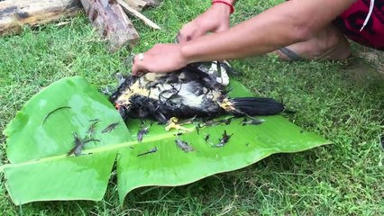 Top 10 Amazing Cooking 2016 - How To Cook in My Village - Top 10 Recipes 2017