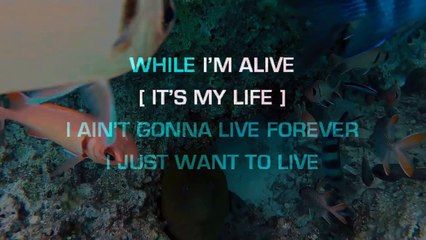 Bon Jovi - It's my life KARAOKE / INSTRUMENTAL