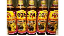 0816574300 Tempat Jual Madu Asli Yogyakarta