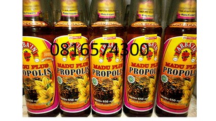 0816574300 Tempat Jual Madu Asli Yogyakarta