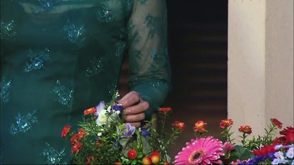 Chiều cuối tuần - Hoàng Oanh