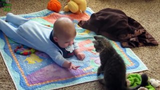 Cute Cats and Dogs Love Babies Compilation 2017