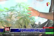 Uruguay: marihuana se venderá en farmacias desde julio