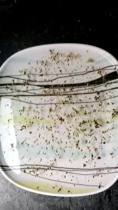 'Magic' science trick - dispersing pepper on the water trick